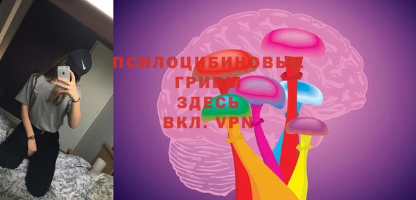 винт Осинники