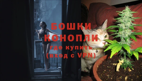 винт Осинники