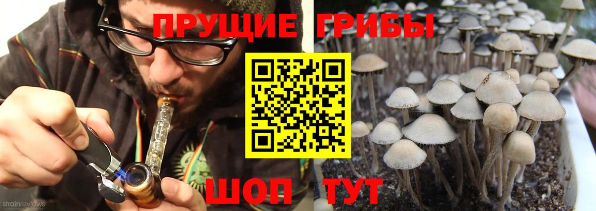 Галлюциногенные грибы Стрежевой